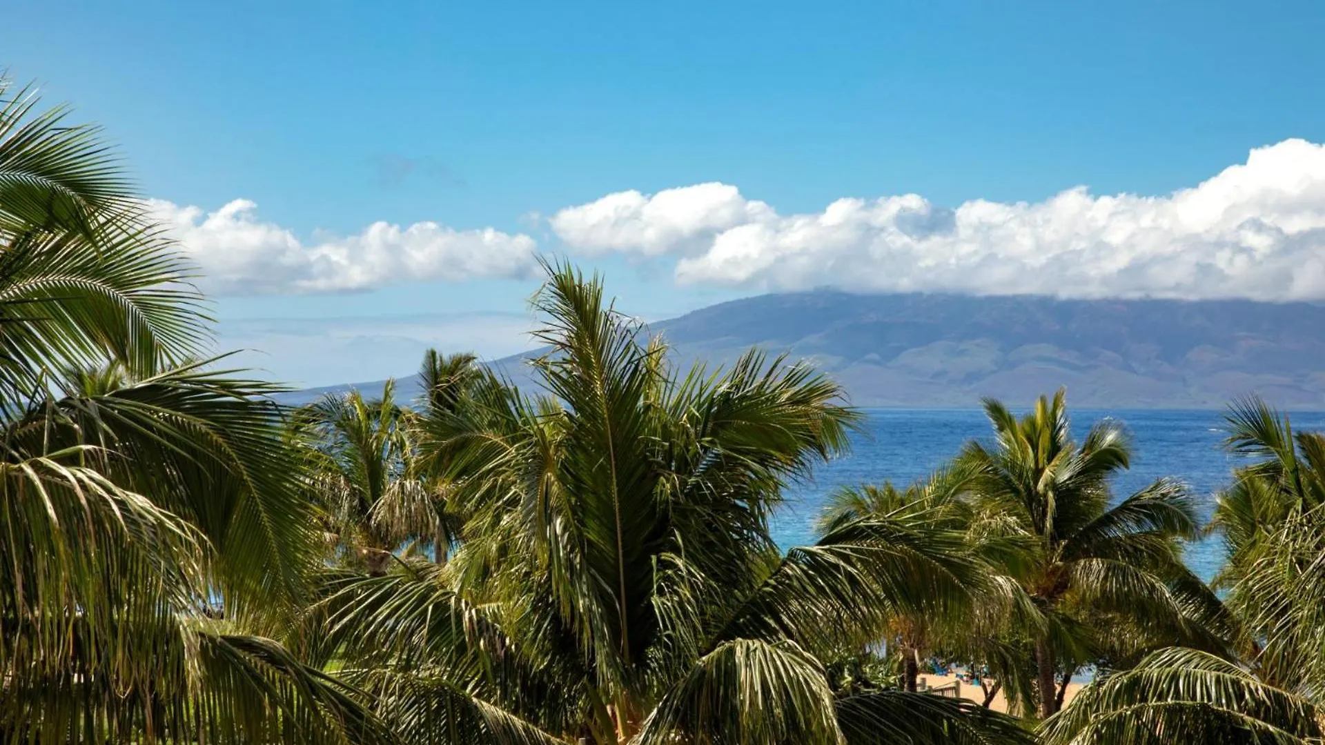 Apartment Kbm Resorts Free Car Honua Kai Konea Hkk-449 Amazing Ocean View Beach Gear Kaanapali United States